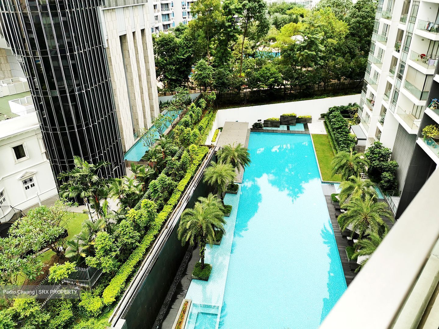 The Laurels (D9), Condominium #556158191